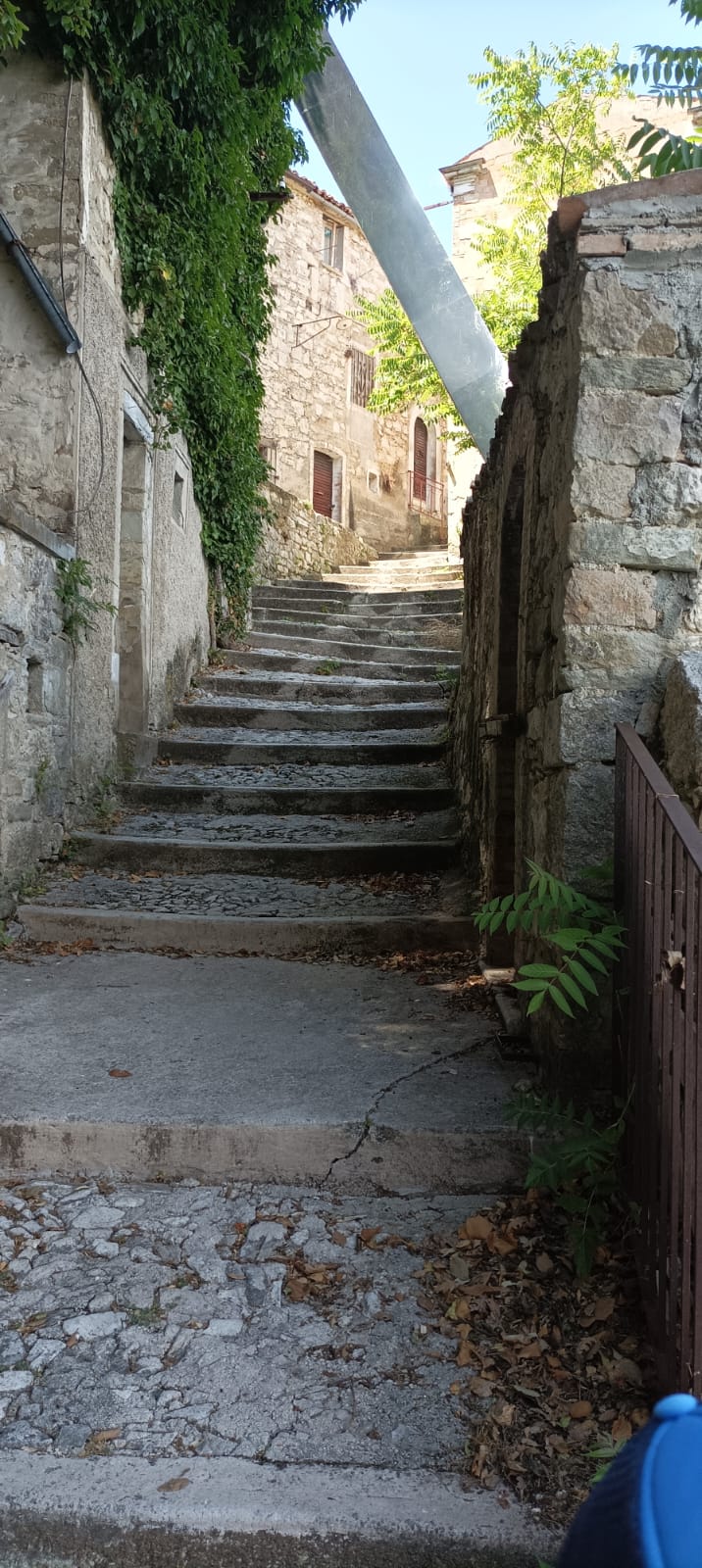 Stone staircase rising through the abandoned streets of Buonanotte, ivy-covered walls on either side