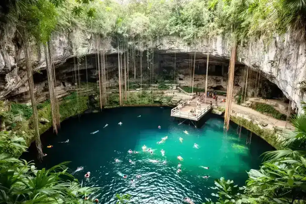 Nageurs dans un cénote turquoise avec des racines suspendues au Yucatán, Mexique