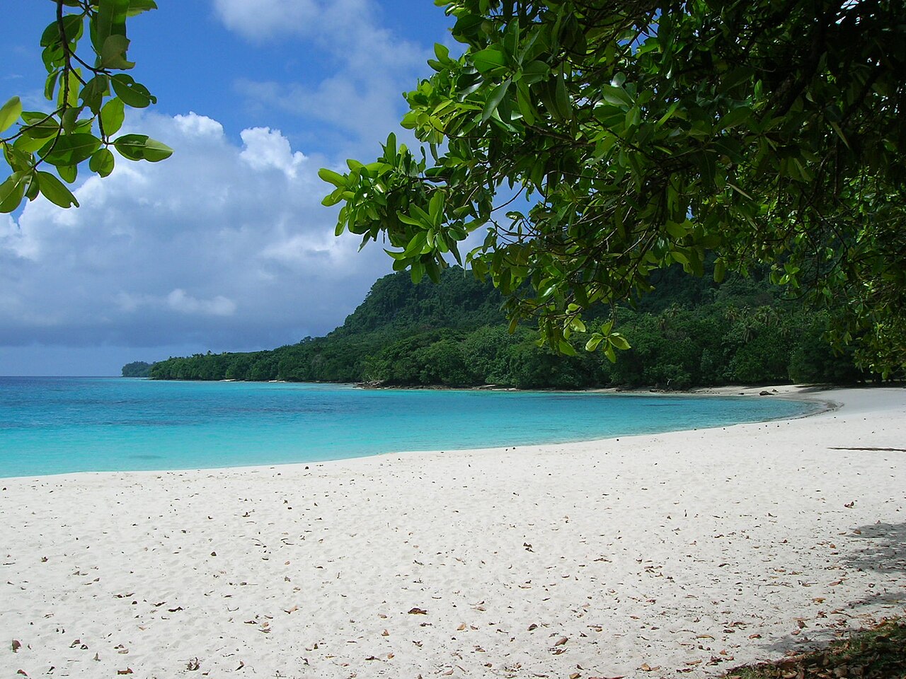 White sand and turquoise water at Champagne Beach, Espiritu Santo, Vanuatu