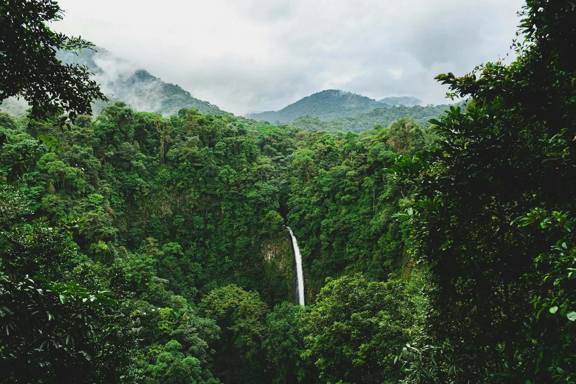 Arenal Volcano rising above rainforest canopy with hot spring steam drifting through the trees at golden hour, La Fortuna, Costa Rica