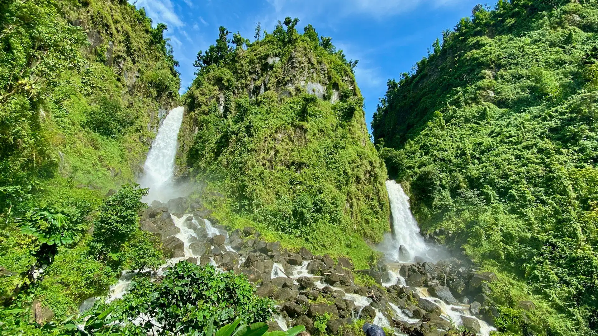 Dominica rainforest and volcanic landscape