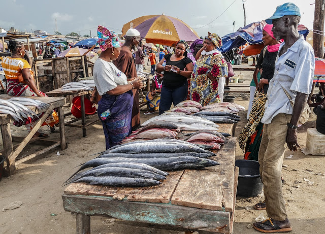 Painted fishing pirogues and drying fish at Tanji fish market on the Gambian coast