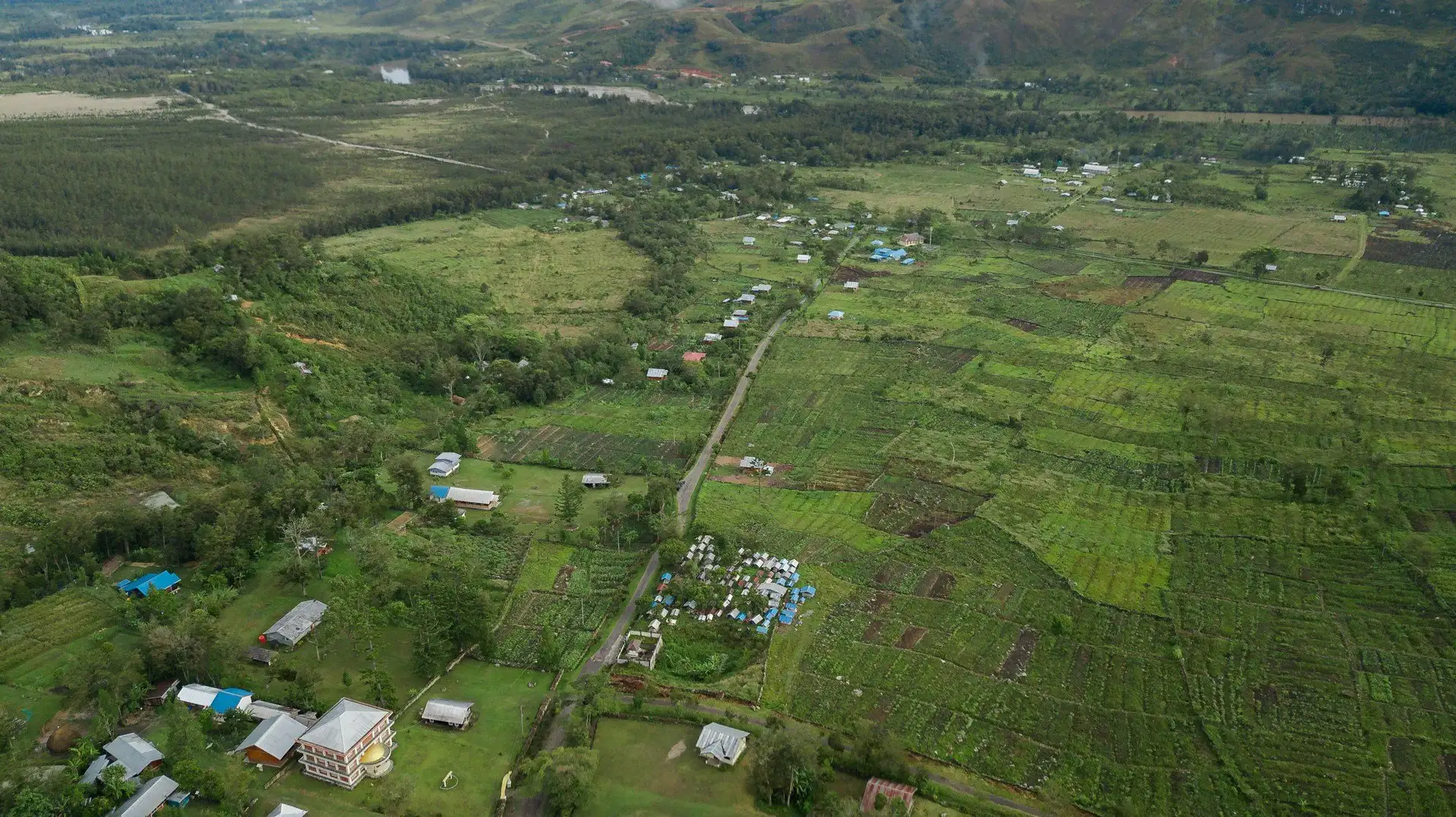 غيانا شلالات كاييتور غابة الأمطار
