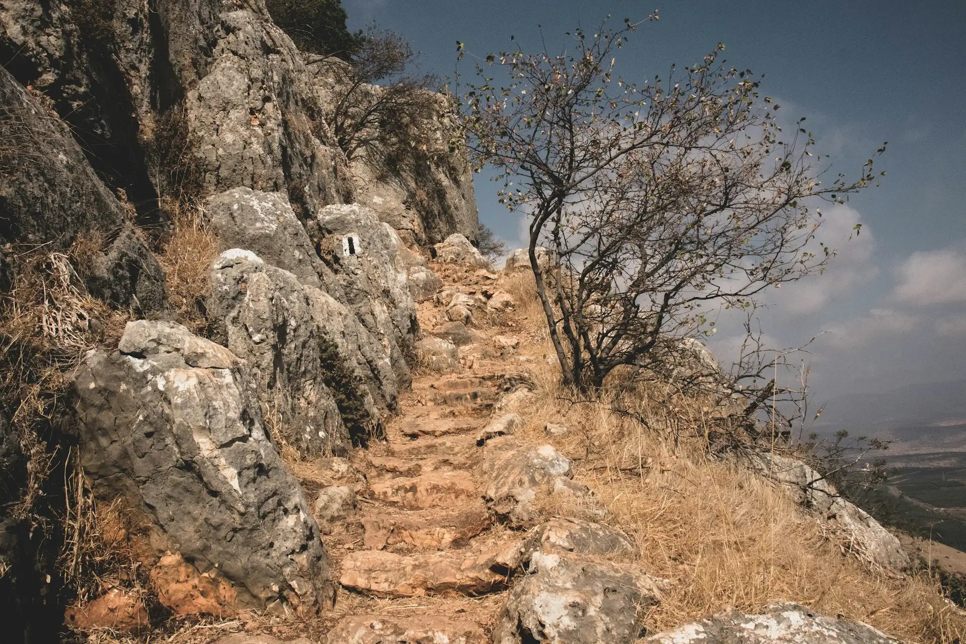 Hermanus coastal cliff path