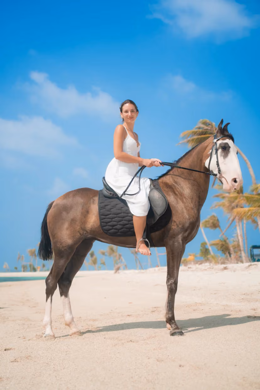 Guided horse ride along the beach on Mantafushi, next to Maafushi in the Maldives
