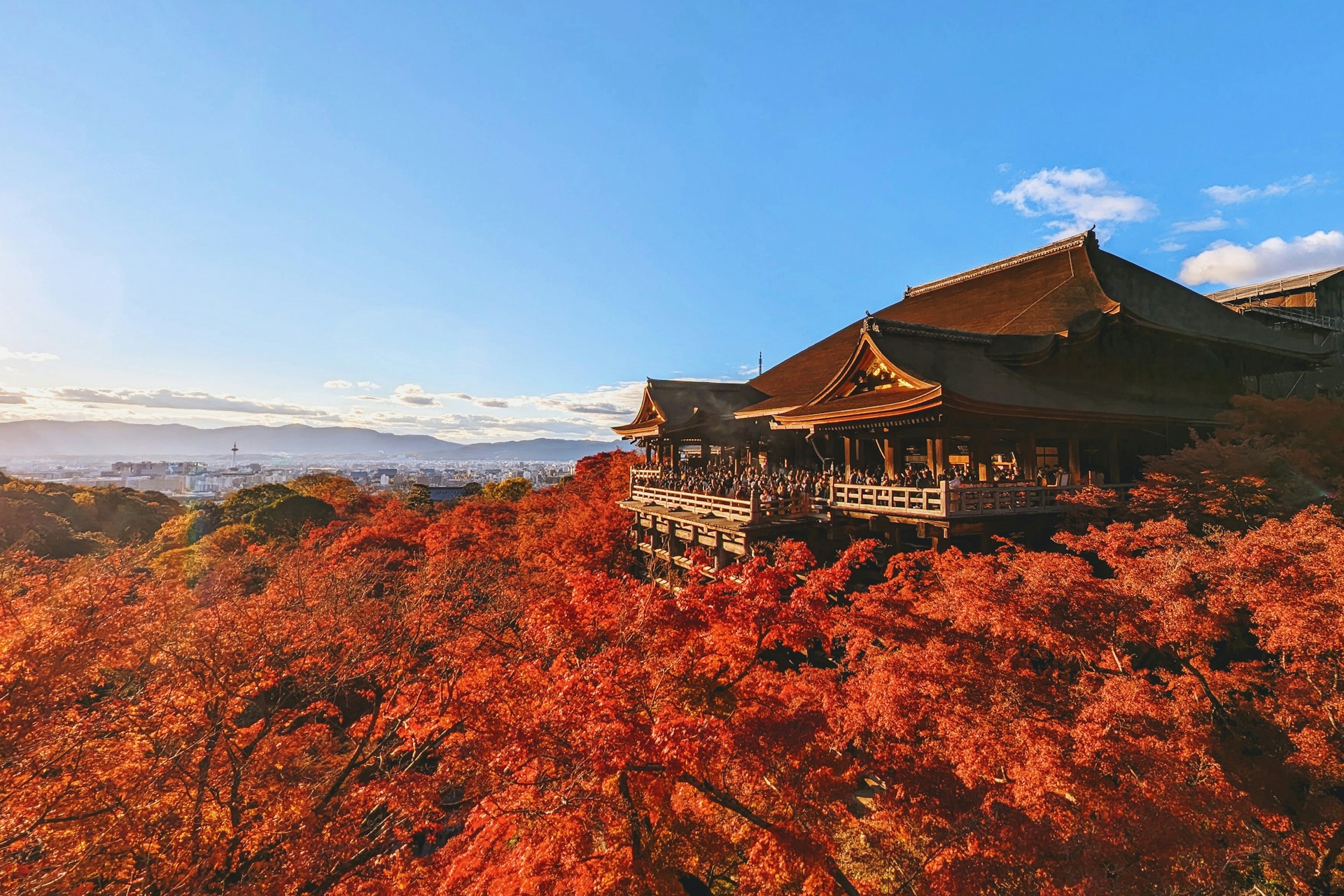 Fogliame autunnale di Kyoto con aceri rossi e arancioni riflessi in uno stagno di un tempio a Eikan-do o Tofuku-ji