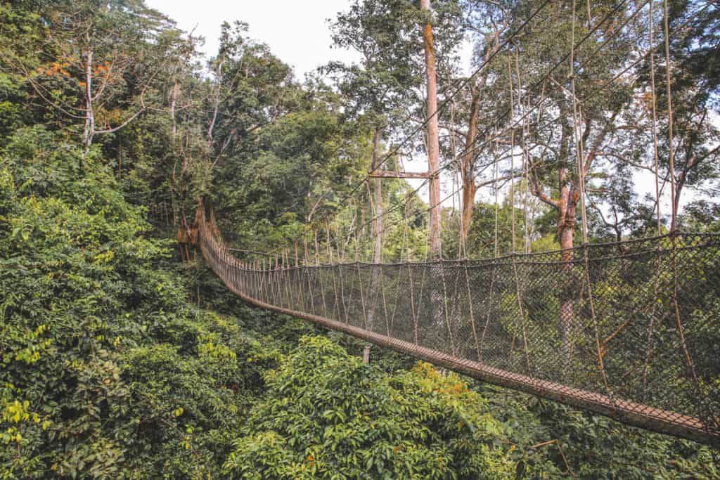 Hängender Seil-Baumkronenpfad über dem Regenwald im Kakum National Park, Ghana
