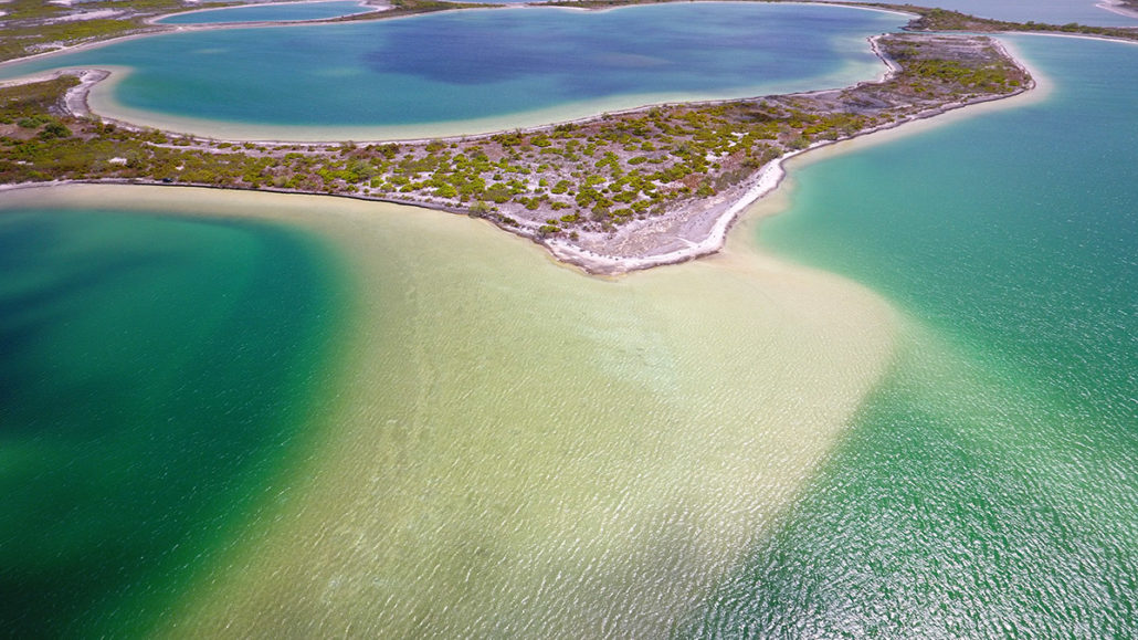 Bancos de bonefish en Kiritimati, Isla de Navidad, Kiribati