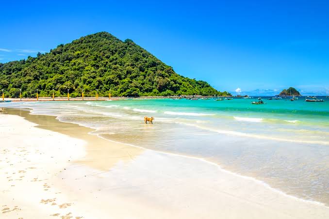 Lombok Selong Belanak beach with a wide curve of pale sand, gentle waves and green hills behind