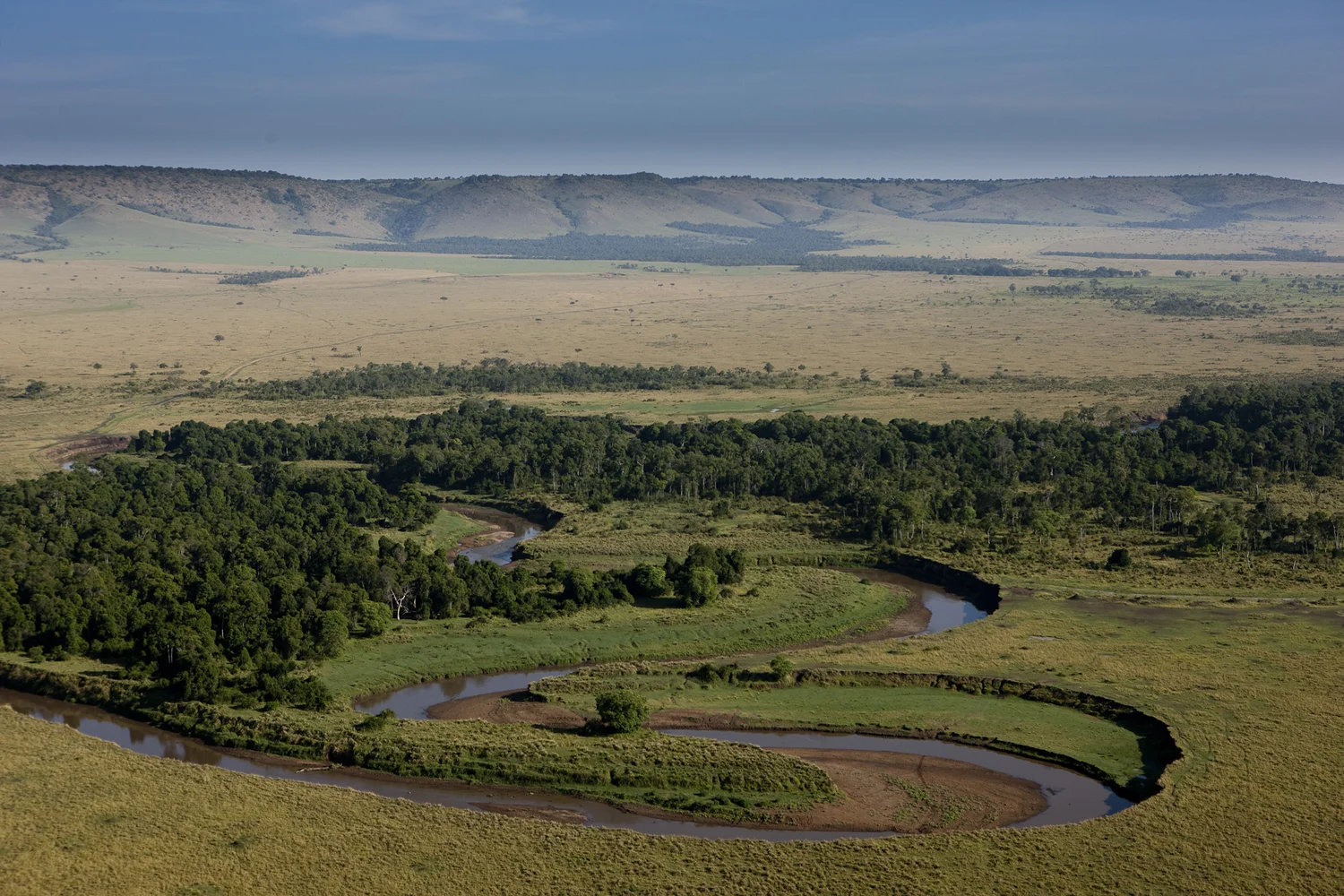 Mara Triangle grassland