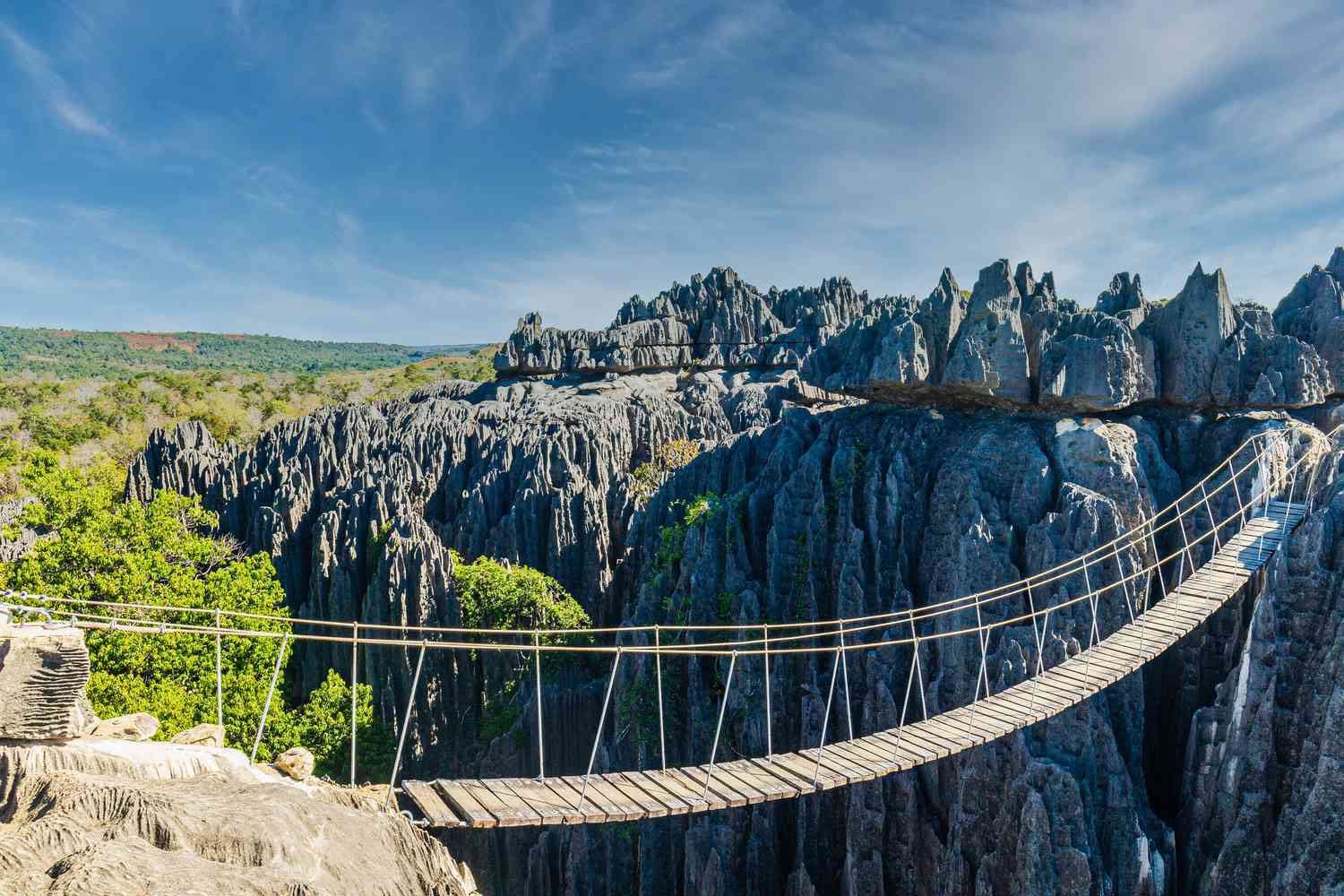 Tsingy de Bemaraha UNESCO World Heritage Site Madagascar, needle-sharp grey limestone karst pinnacles rising 40 meters with suspension bridge visible between the stone needles