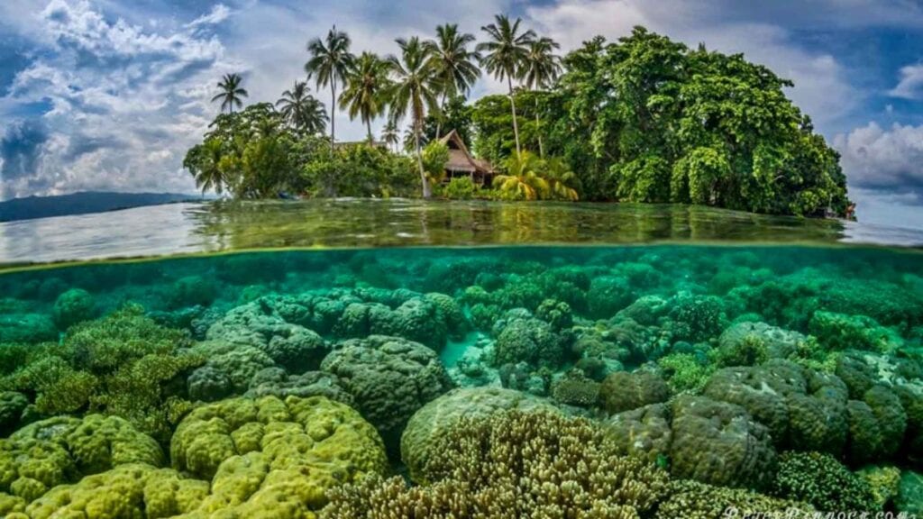Clear turquoise water and raised barrier reef islands of Marovo Lagoon in the Western Province, Solomon Islands