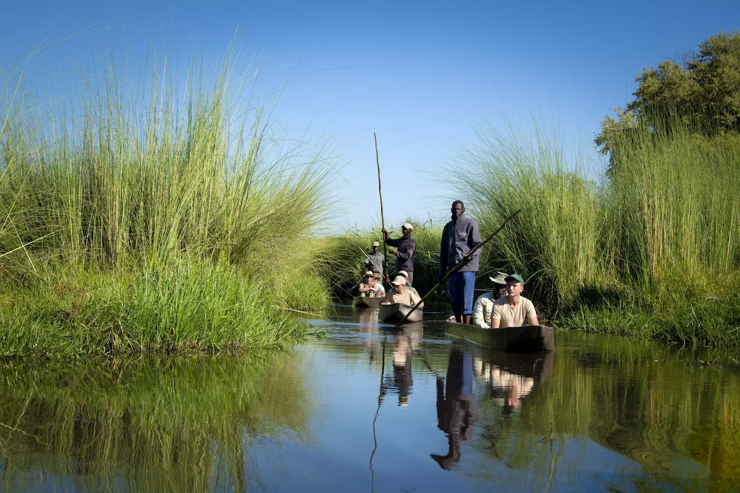 Mokoro dugout canoe on the Thamalakane River near Maun, Botswana, gateway to the Okavango Delta