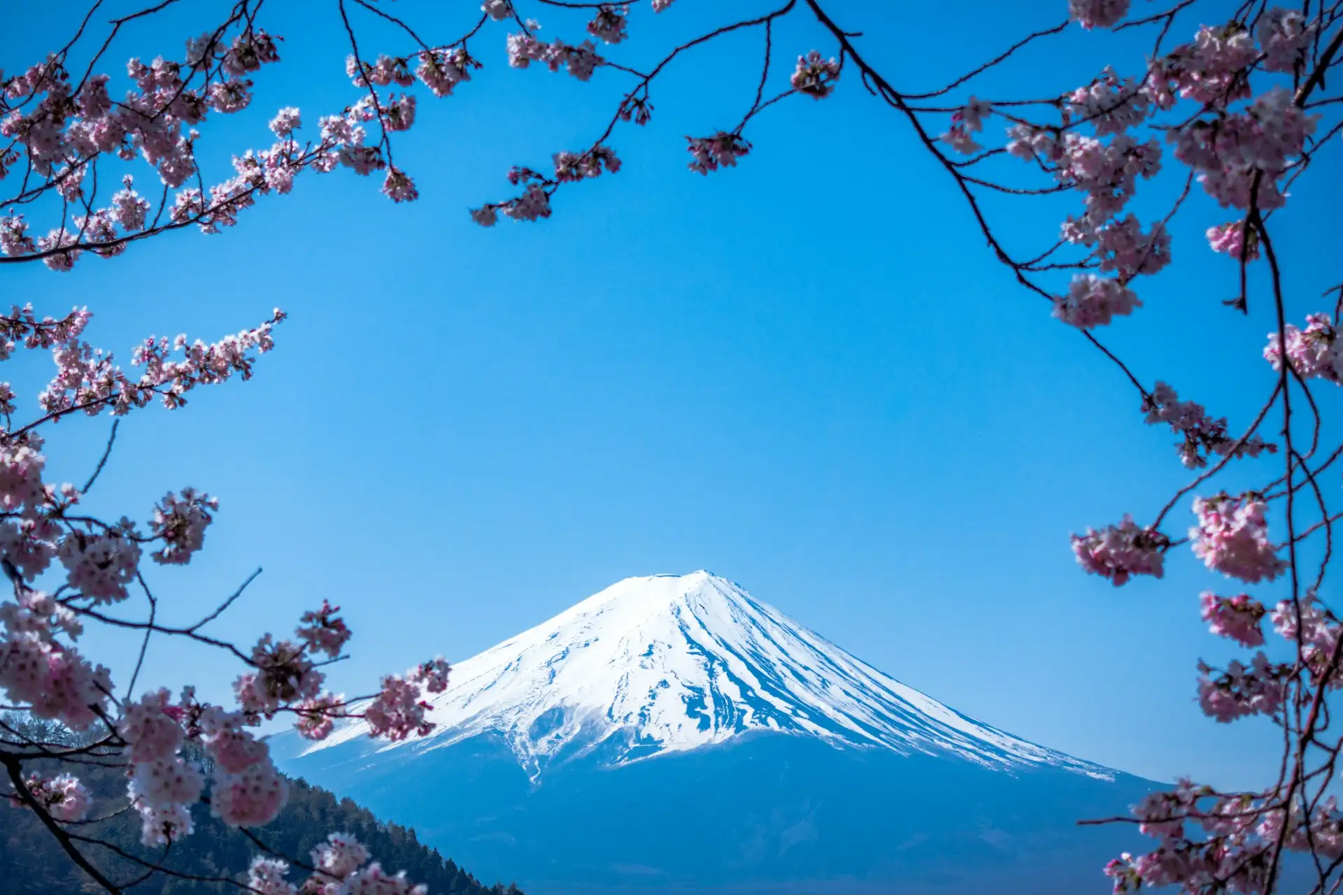 Mount Fuji from Chureito Pagoda