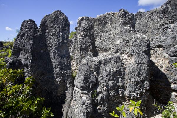 Pinnacoli di corallo bianco e tagliente sull'altopiano del fosfato spogliato di Nauru, noto localmente come Topside
