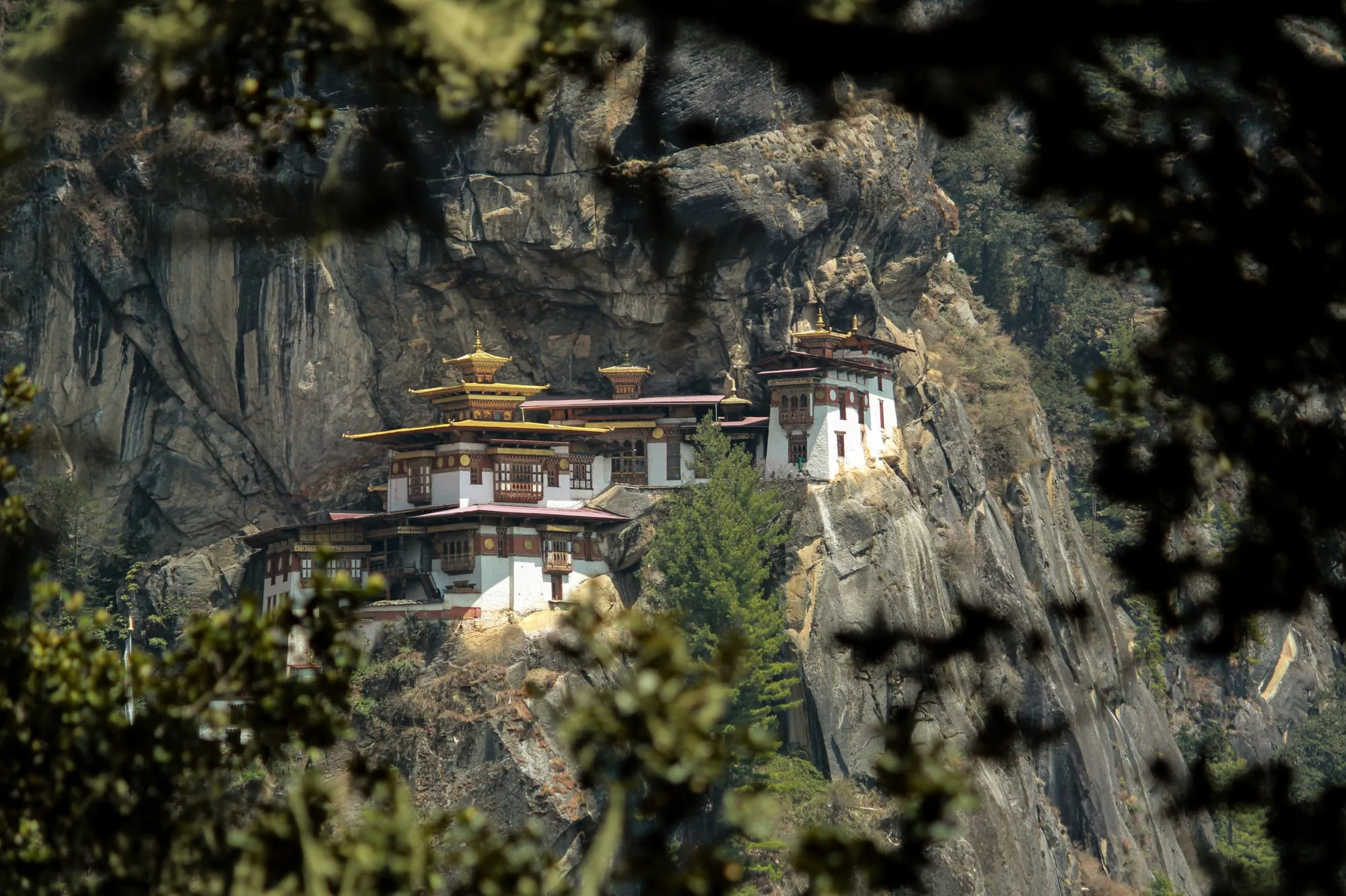 Paro Taktsang monastery built into a sheer cliff face 900 meters above the Paro valley floor