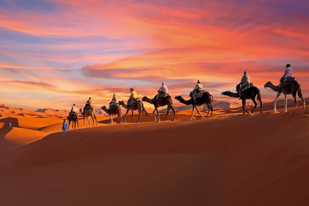 Caravane de chameaux traversant les dunes orange de l'Erg Chebbi dans le désert du Sahara près de Merzouga, Maroc