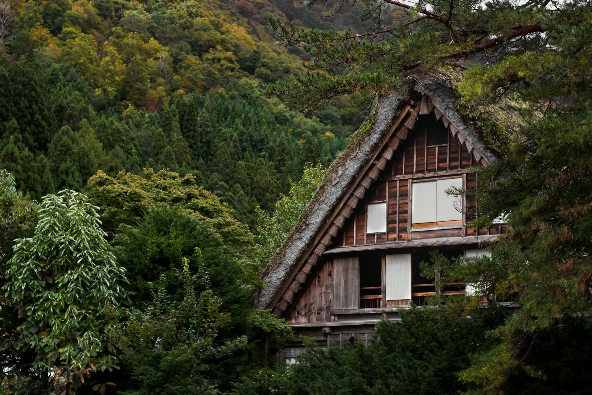 Shirakawa-go gassho-zukuri houses