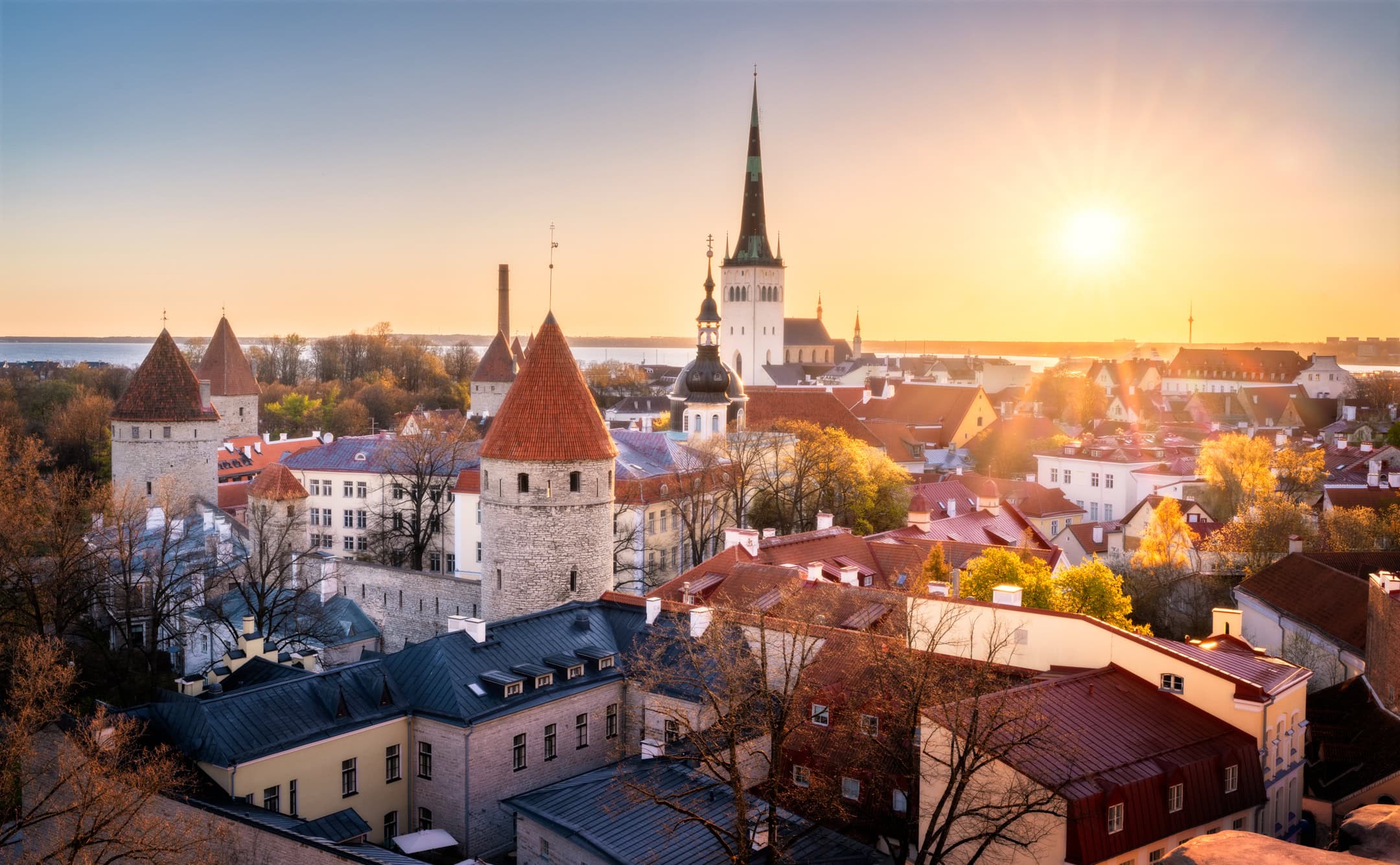 Tetti medievali in tegole rosse e guglie di chiese della Città Vecchia di Tallinn visti dalla collina di Toompea