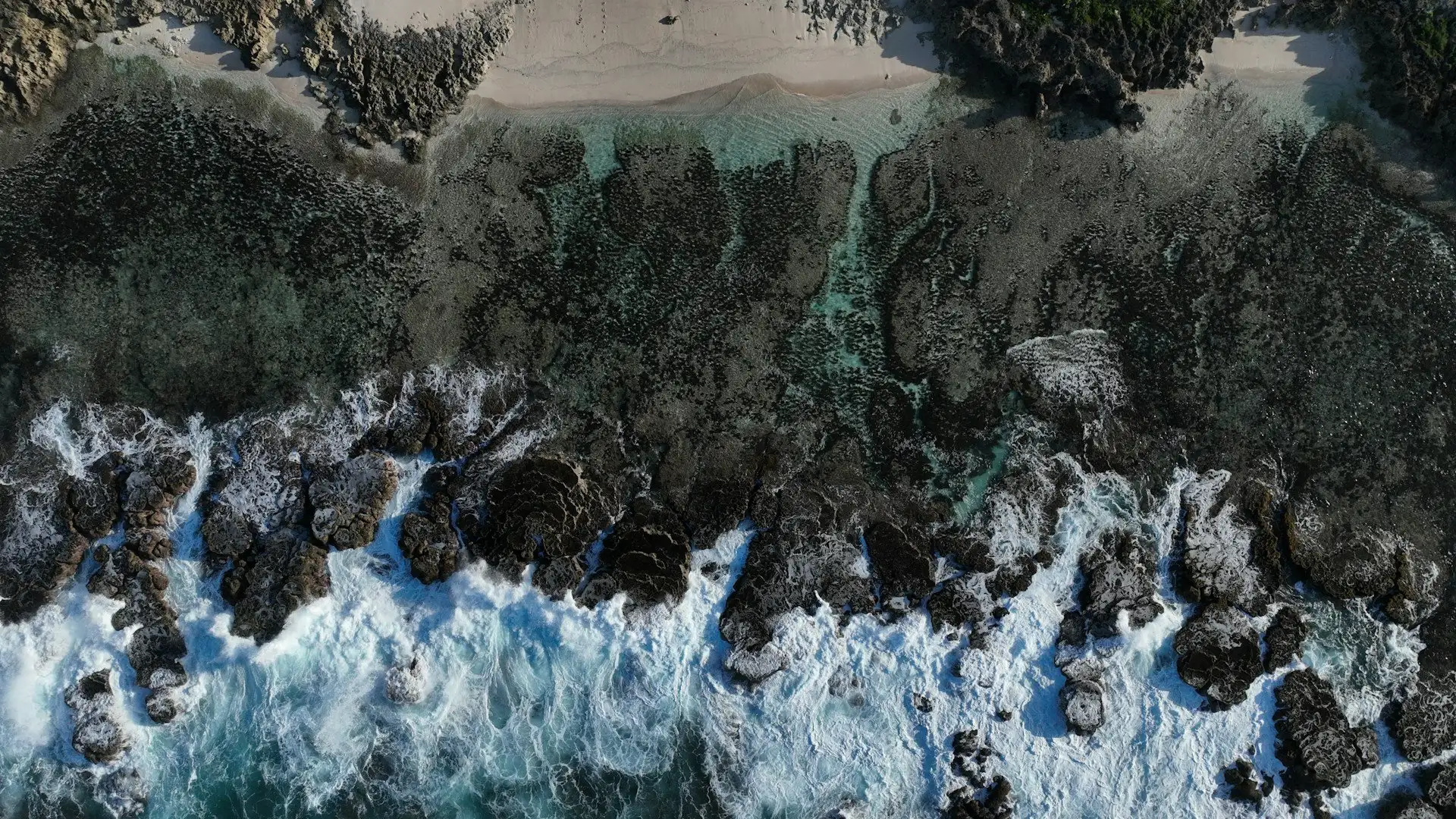 Tonga tropische Küste und klares Wasser