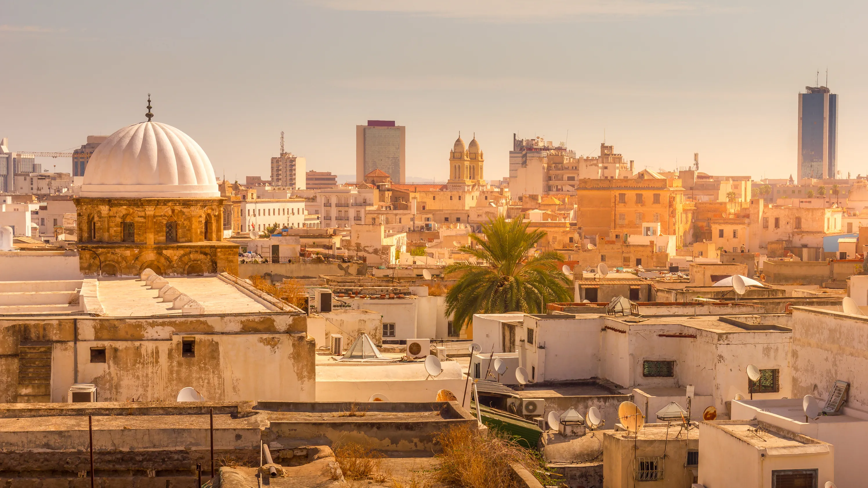 View over the Tunis medina rooftops toward the modern city and the Mediterranean coast