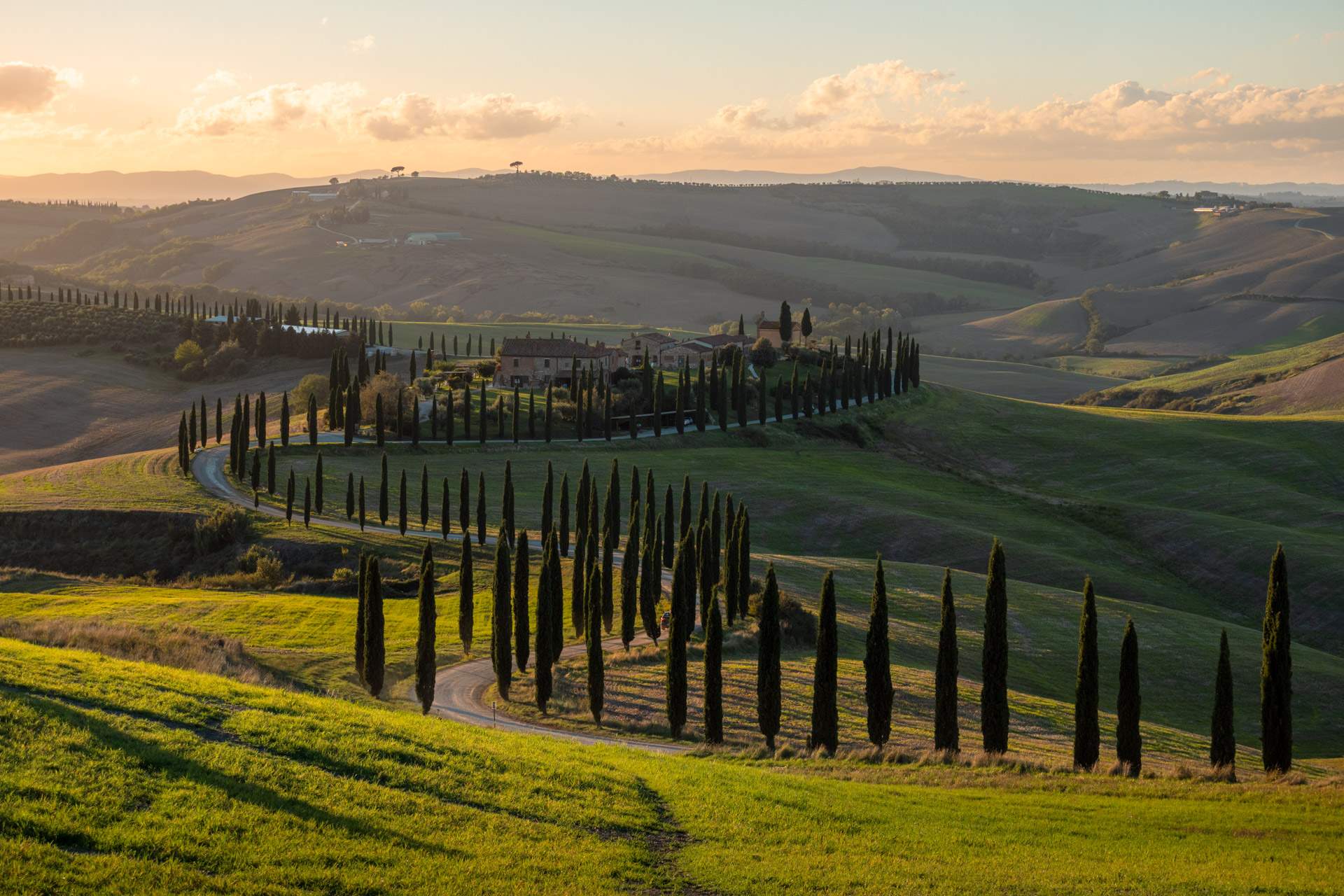 Carretera bordeada de cipreses a través de las colinas onduladas del Val d'Orcia en la Toscana, Italia