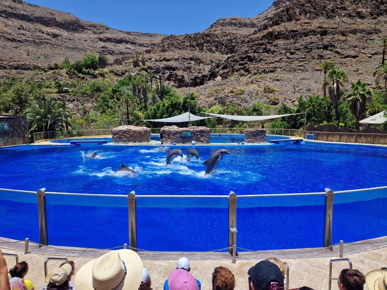 Palmitos Park, Gran Canaria